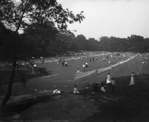 The Tennis courts, Central Park, New York, c.1904 (b/w photo) | Obraz na stenu