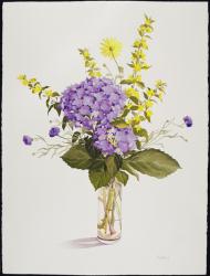 Blue Hydrangea with Yellow Loosestrife (w/c) | Obraz na stenu