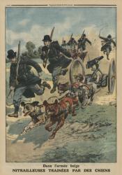 In the Belgian army, machine guns pulled by dogs, front cover illustration from 'Le Petit Journal', supplement illustre, 8th June 1913 (colour litho) | Obraz na stenu