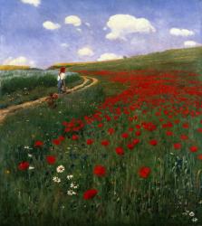 The Poppy Field | Obraz na stenu