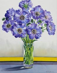 Scabious with Yellow Band (watercolour on paper) | Obraz na stenu