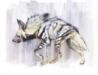 Striped Hyaena, 2010, (watercolour on paper) | Obraz na stenu