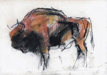 Zubre, Bialowieza (charcoal & conte on paper) | Obraz na stenu