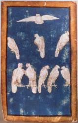 Birds of Prey in flight and on perches, one of a set of playing cards depicting scenes of courtly hawking, Upper Rhein Area, c.1440-45 (pen and ink, w/c) (see also 87698 & 88301-04) | Obraz na stenu