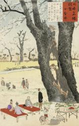 Koganei, Cherry Blossoms from Sketches of Famous Places in Japan, 1896 (colour woodblock print) | Obraz na stenu