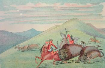 Buffalo bull protecting calf and mother under attack (colour litho) | Obraz na stenu