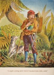 'I caught a young parrot which I knocked down with a stick.', illustration from 'Robinson Crusoe' by Daniel Defoe (1660-1731) c.1860s (chromolitho) | Obraz na stenu