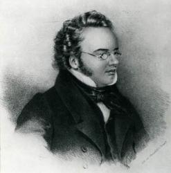 Portrait of Franz Schubert (1797-1828) (engraving) | Obraz na stenu