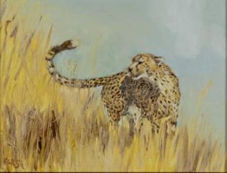 cheetah study 2, 2016, (oil on canvas) | Obraz na stenu