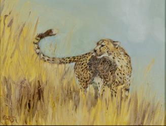 cheetah study 2, 2016, (oil on canvas) | Obraz na stenu