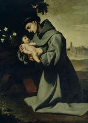 St. Anthony of Padua (oil on canvas) | Obraz na stenu