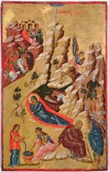 Icon depicting the Nativity (oil on panel) | Obraz na stenu