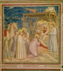 Adoration of the Magi, c.1305 (for detail see 67136) | Obraz na stenu