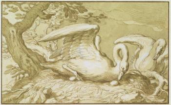 A Swan in her Nest (pen and ink wash on paper) | Obraz na stenu