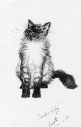 sweetie baby, 2015, (ink on paper) | Obraz na stenu
