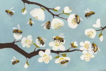 Bees & Blossoms | Obraz na stenu