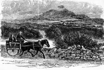 County Wicklow, print made by E. Taylor (engraving) | Obraz na stenu