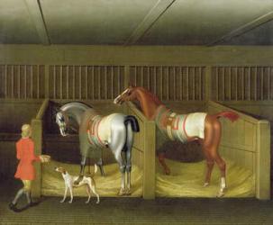 The Stables and Two Famous Running Horses belonging to His Grace, the Duke of Bolton, 1747 (oil on canvas) | Obraz na stenu