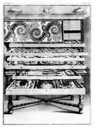 Table 6 from 'Elenchus Tabularum' by Levin Vincent (1658-1727) 1719 (engraving) (b/w photo) | Obraz na stenu