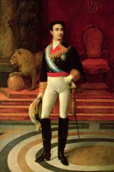 Portrait of Alfonso XII (1857-85) 1876 (oil on canvas) | Obraz na stenu