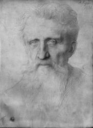 Head of a man with long beard, 1898 (silverpoint on white cardboard) | Obraz na stenu