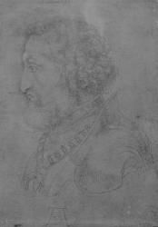 Frederick II of the Rhine, Elector Palatine, 1523 (pencil on paper) (b/w photo) | Obraz na stenu