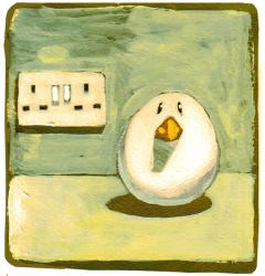 Plug bird | Obraz na stenu