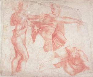 Studies of Male Nudes (red chalk on paper) | Obraz na stenu