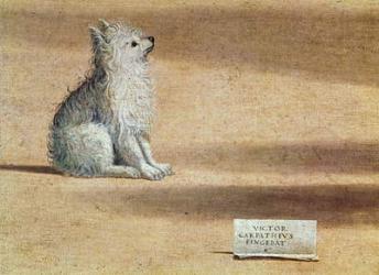 Vision of St. Augustine, detail of the dog, 1502-08 (oil on canvas) | Obraz na stenu