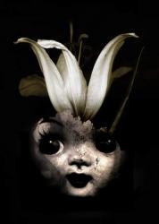 Doll flower, 2013 (Photo manipulation) | Obraz na stenu