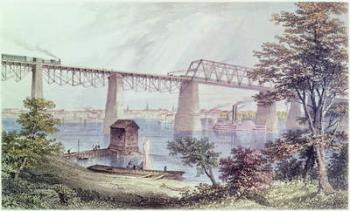 View of Louisville (coloured engraving) | Obraz na stenu