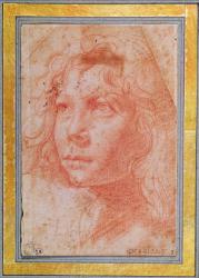 Head of a young boy turned to the left (red chalk on paper) | Obraz na stenu