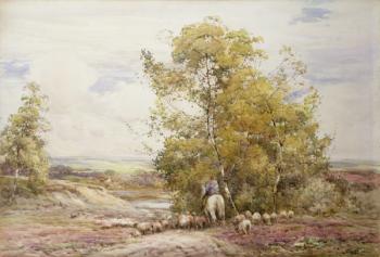 Dorset Pastoral (w/c on paper) | Obraz na stenu