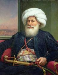 Mehemet Ali (1769-1849), 1840 (oil on canvas) | Obraz na stenu