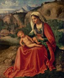 Virgin and Child in a Landscape, c.1503 (oil on canvas) | Obraz na stenu