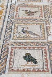 Mosaics in the Casa de los Pajaros - The House of the Birds, Roman city of Italica, near Santiponce, Seville Province, Andalusia, Spain (photo) | Obraz na stenu