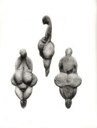 Three views of a 'Venus' statuette, from the Rideaux Cave, Lespugue, Haute-Garonne (ivory) (b/w photo) | Obraz na stenu