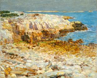 A North East Headland, 1901 (oil on canvas) | Obraz na stenu