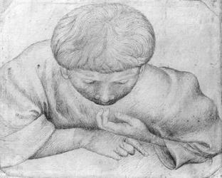 Boy reading, from the The Vallardi Album (pen & ink on paper) (b/w photo) | Obraz na stenu