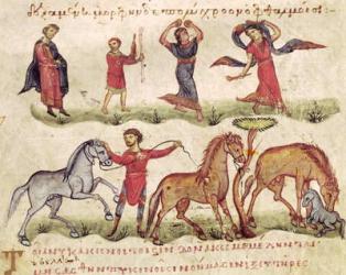 Ms Grec 479 Horse Trainers, illustration from the Halieutica or the Cynegetica by Oppian (vellum) | Obraz na stenu