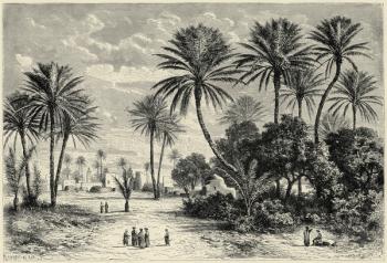 Oasis of Gafsa: Tunis (engraving) | Obraz na stenu