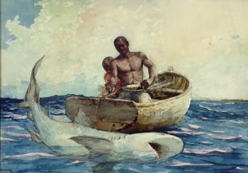 Shark Fishing, 1885 (w/c on paper) | Obraz na stenu