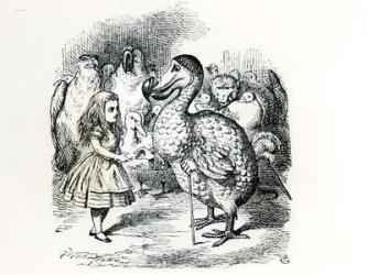 Alice meets the Dodo, illustration from 'Alice's Adventures in Wonderland', by Lewis Carroll, 1865 (engraving) (b&w photo) | Obraz na stenu