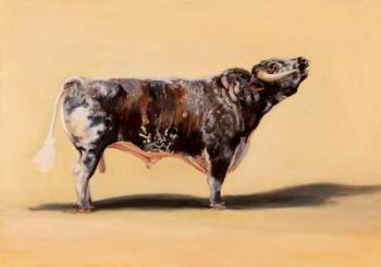 Longhorn bull, 2016 (oil on canvas) | Obraz na stenu