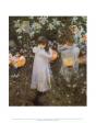 [Carnation, Lily, Lily, Rose]