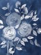 [Cyanotype Roses I]
