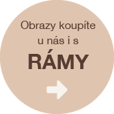 prodej obrazu i s ramy